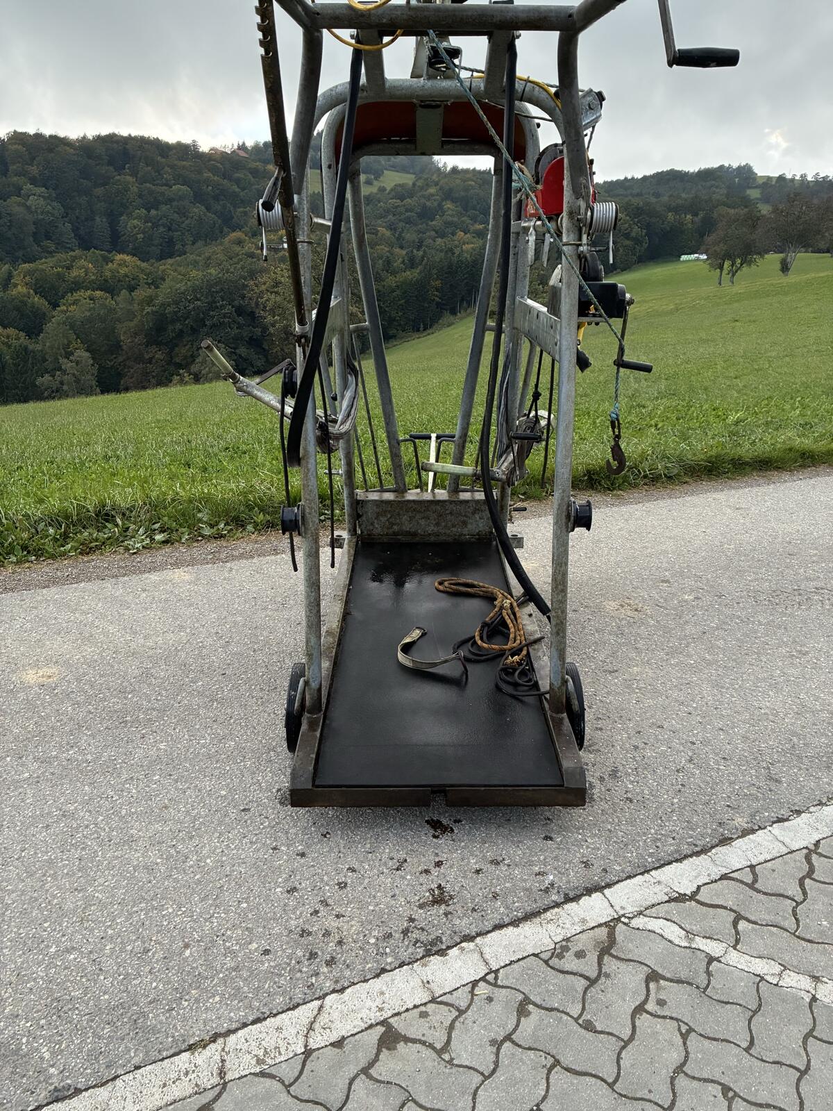 Rosensteiner Top 5 Klauenstand 2