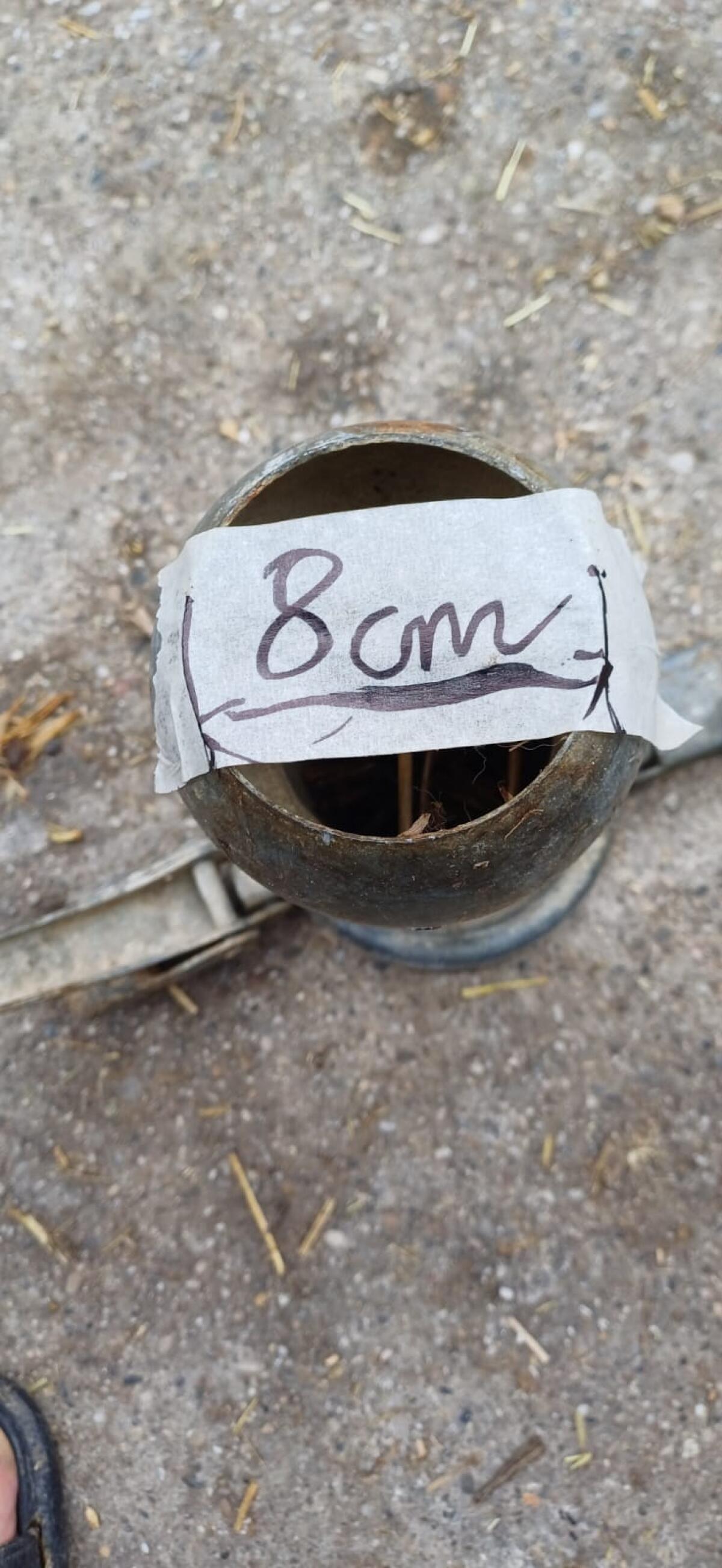 Beregnung Verjüngung 2