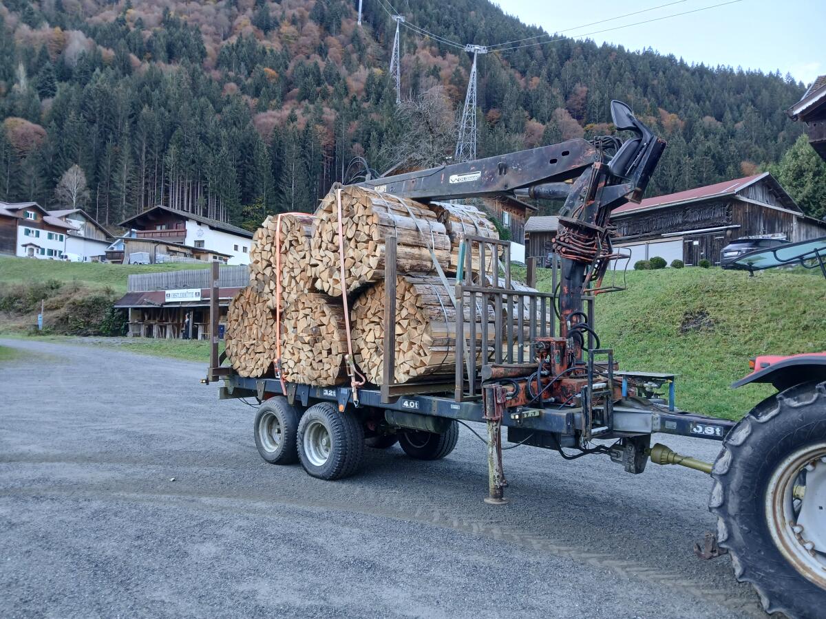 Forstanhänger mit Hiab 560Z Kran 3