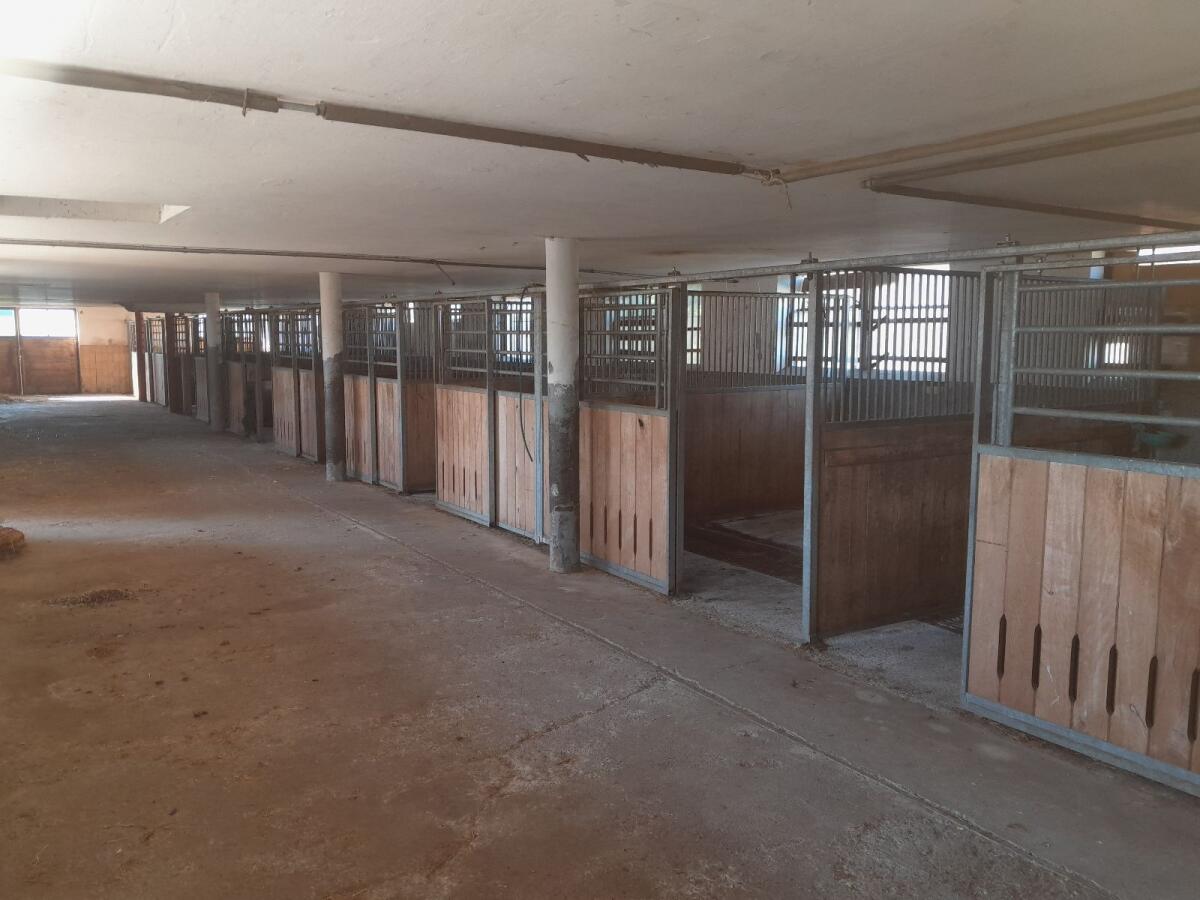 Pferdestall, Aufstallung, Pferdeboxen 2