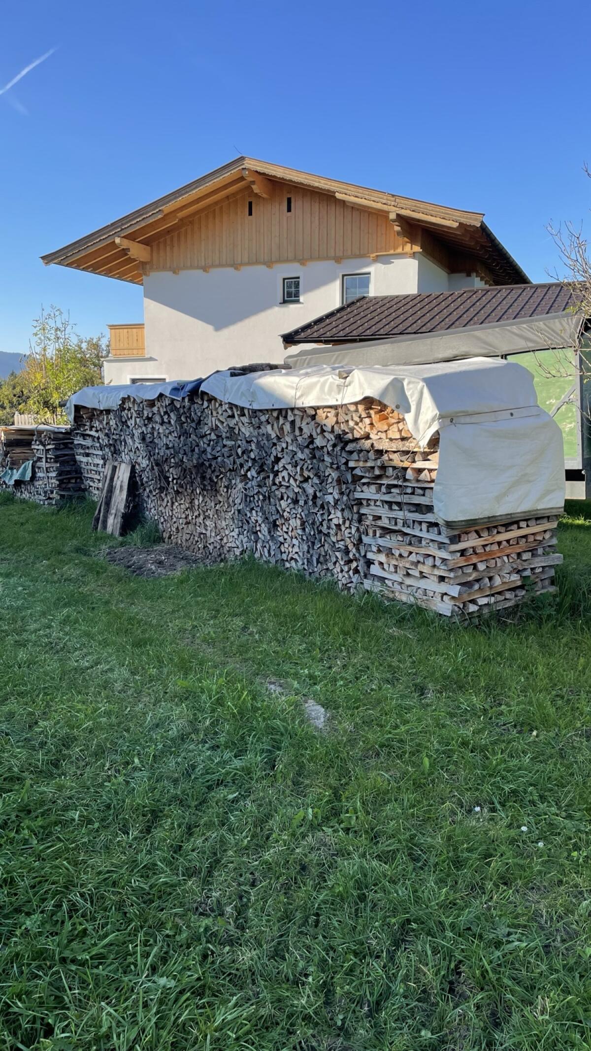 Brennholz 1