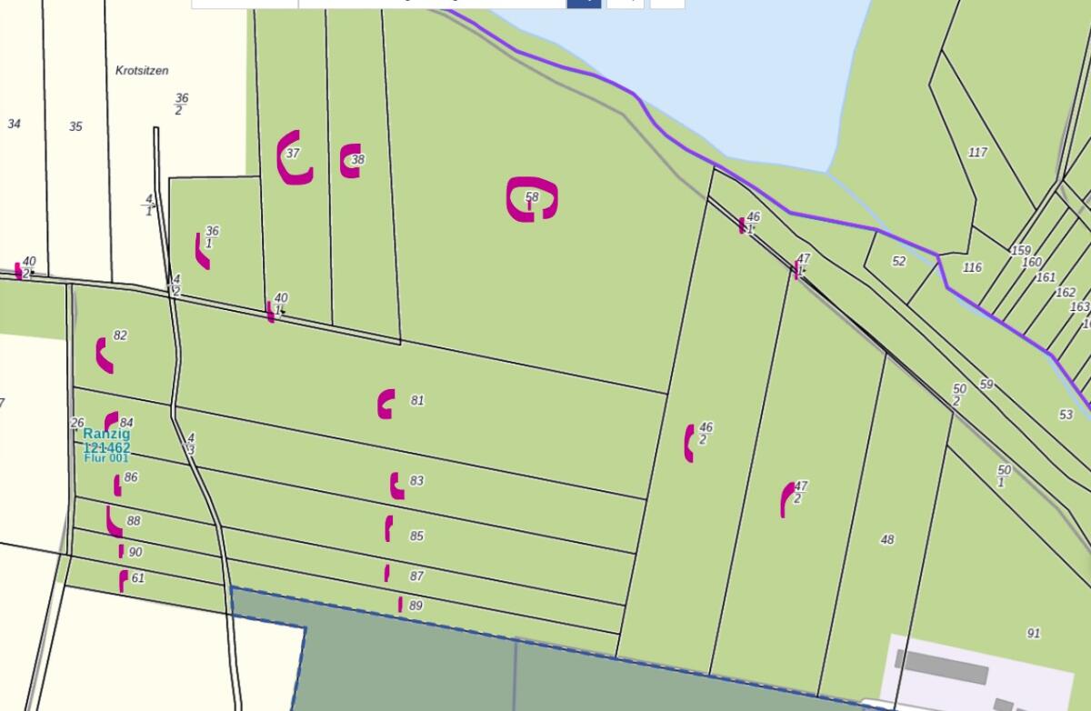 Waldgrundstück zu verkaufen, ca. 69 ha, Nadelwald, Brandenburg 3