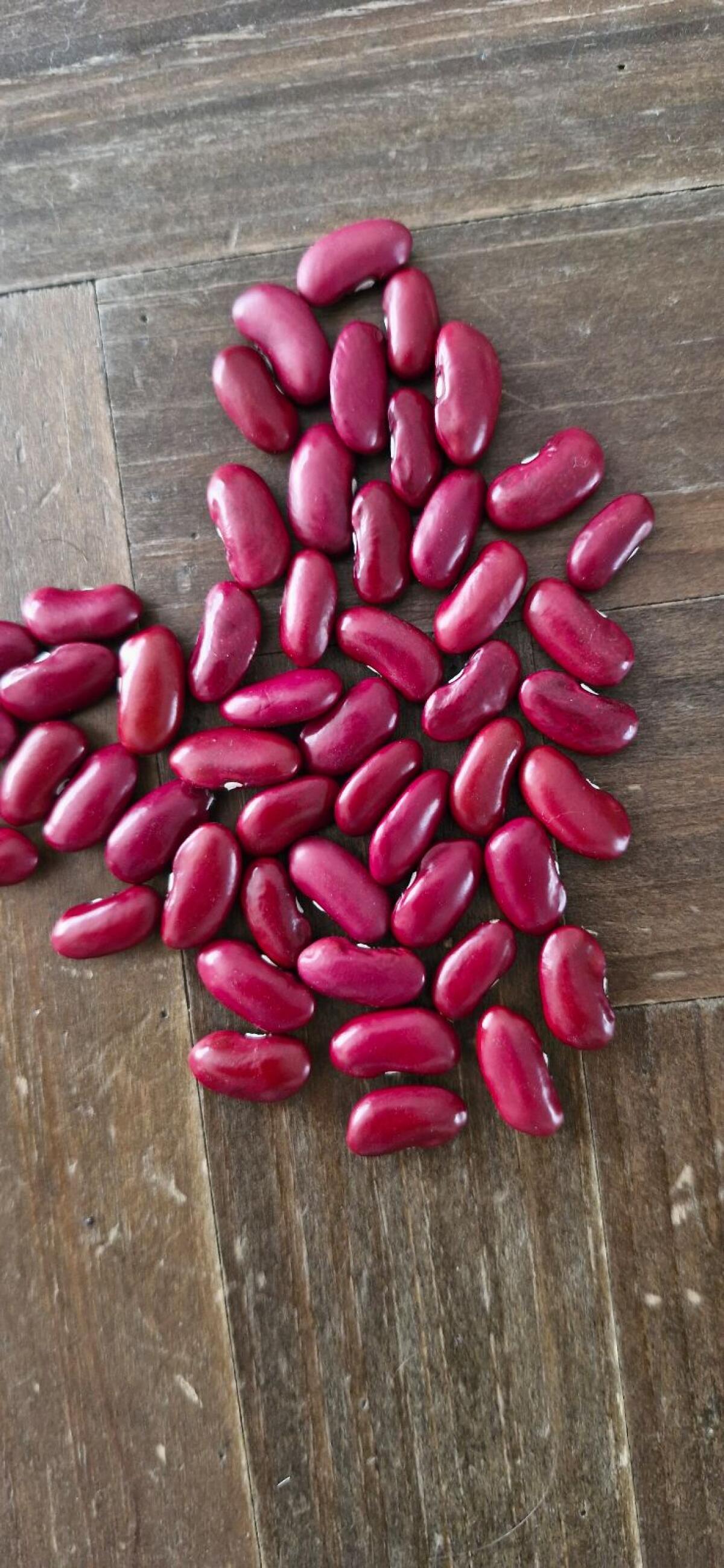 Rote Kidneybohnen 3