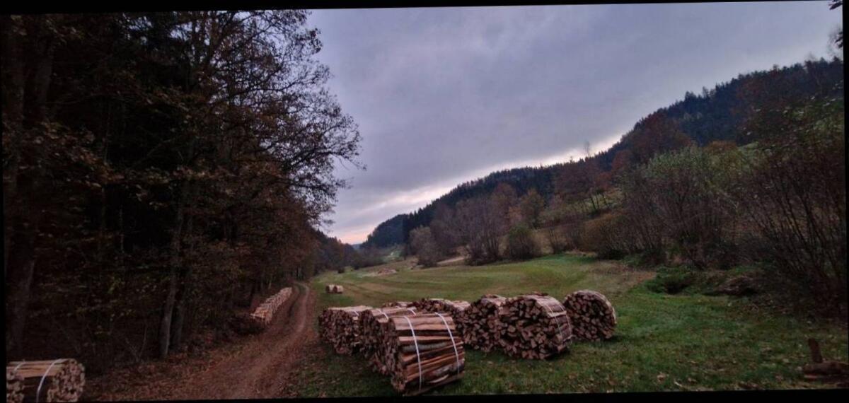 Brennholz Buche Bündel 3