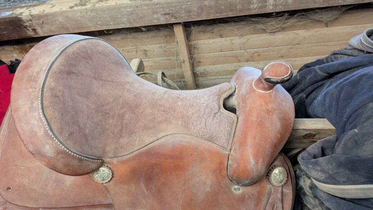 Western Sattel 2