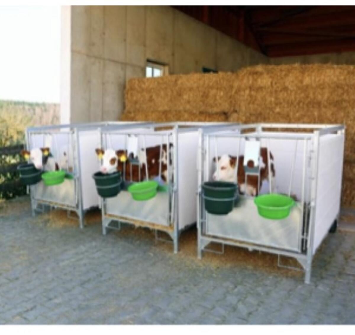 Kälberboxen Kerbl groß 4 St. NEU 2