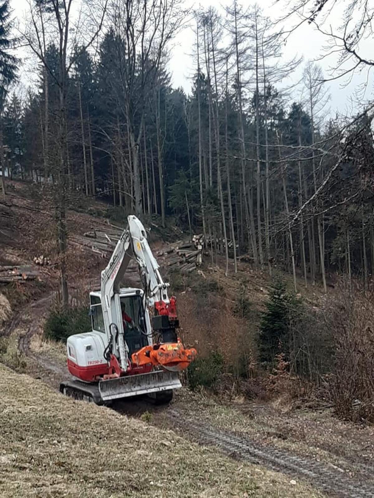Greifersäge Westtech 3