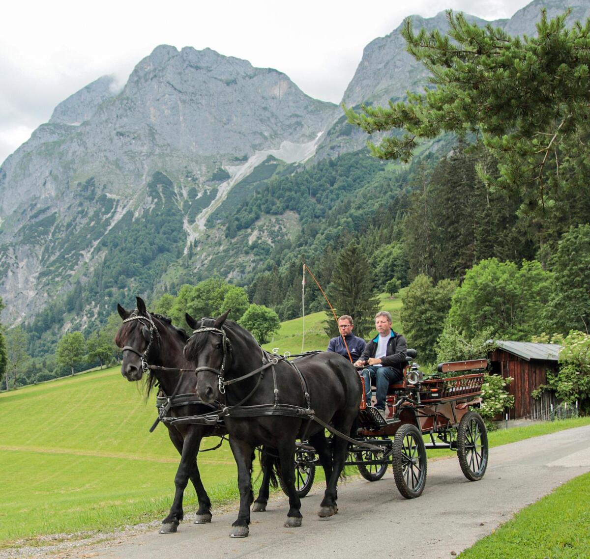 Reitbeteiligung im Pongau 1