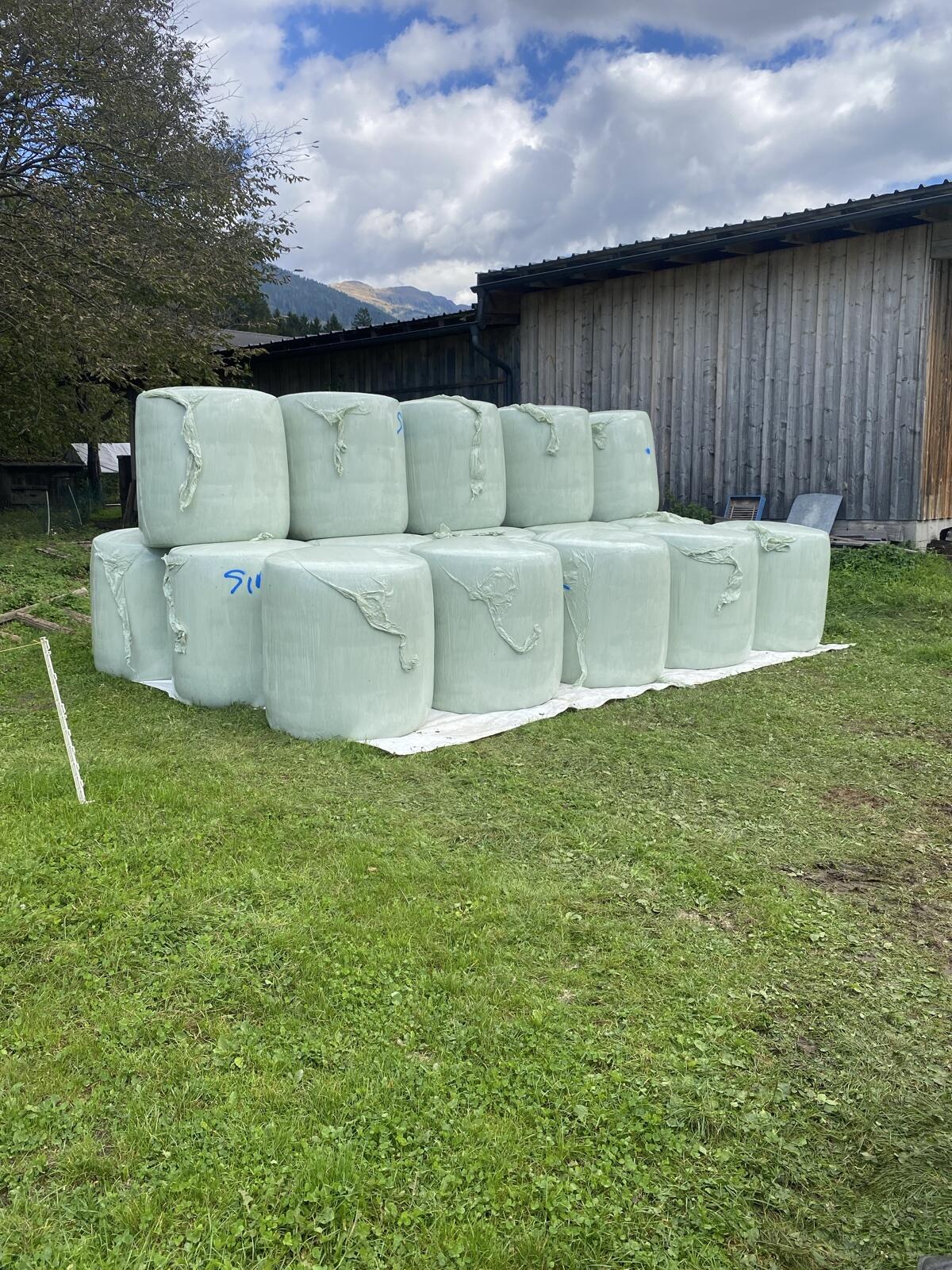 Maissiloballen 1