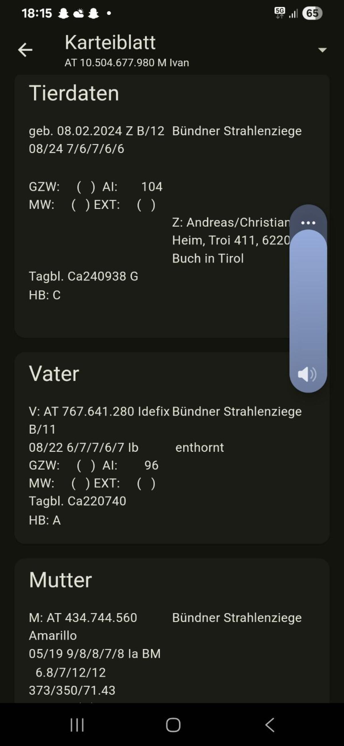 Bünder Strahlenziege Bock 3
