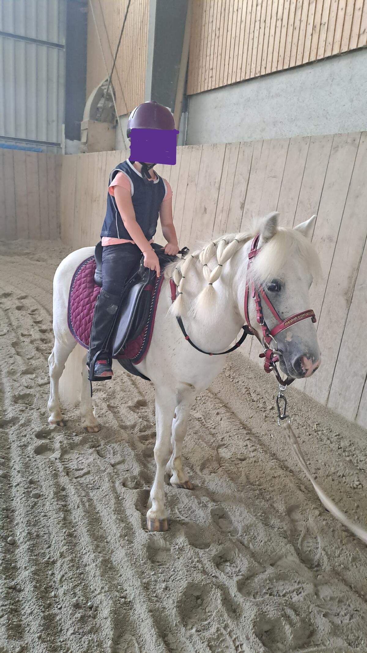 Ponywallach 1