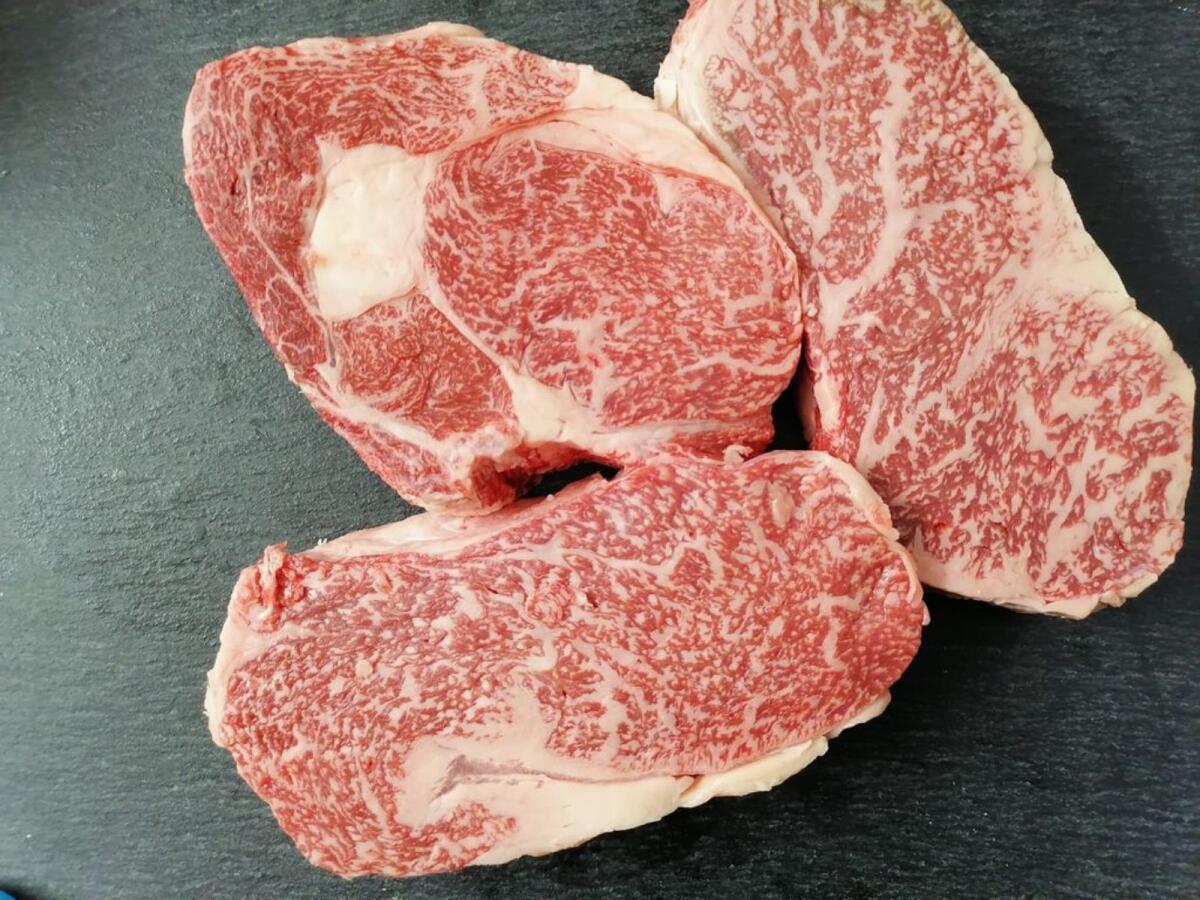 Interessante Wagyu-Kälber 2025 2