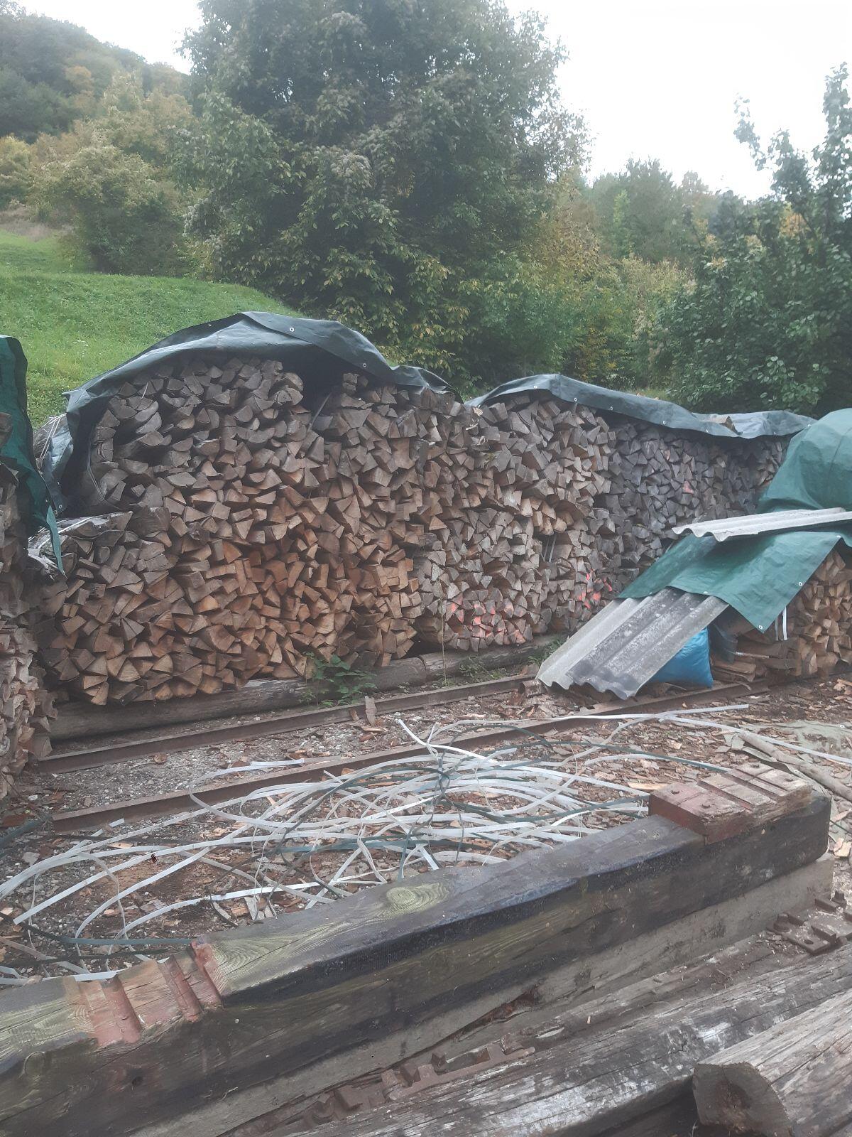 Brennholz Buche zu verkaufen 1