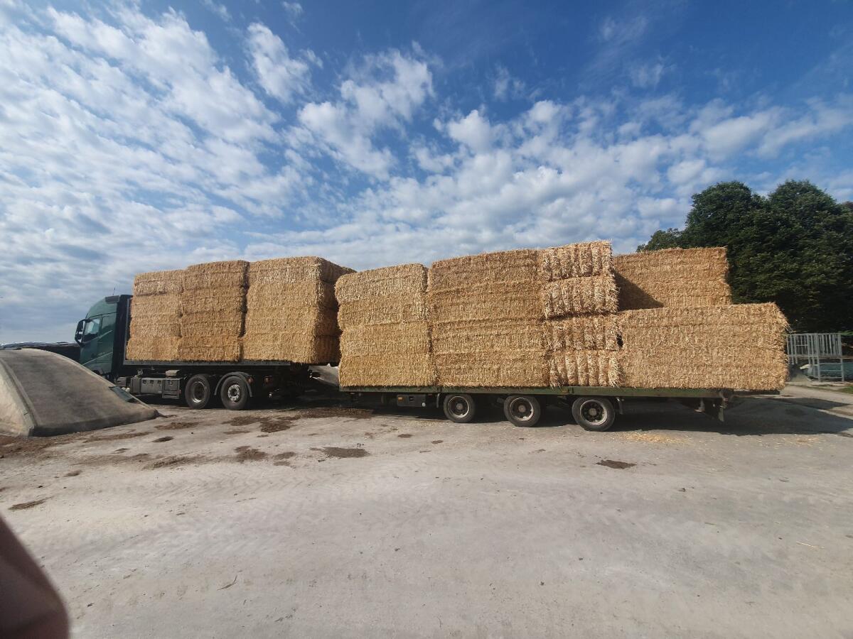 Stroh Quaderballen 2