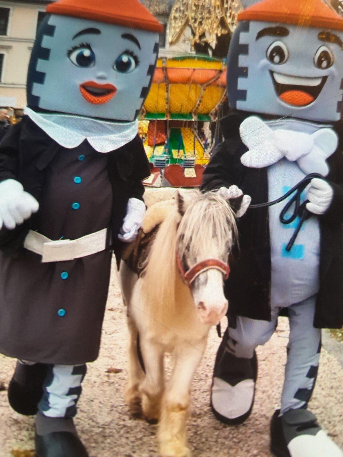Toller Kinderpony Wallach 2