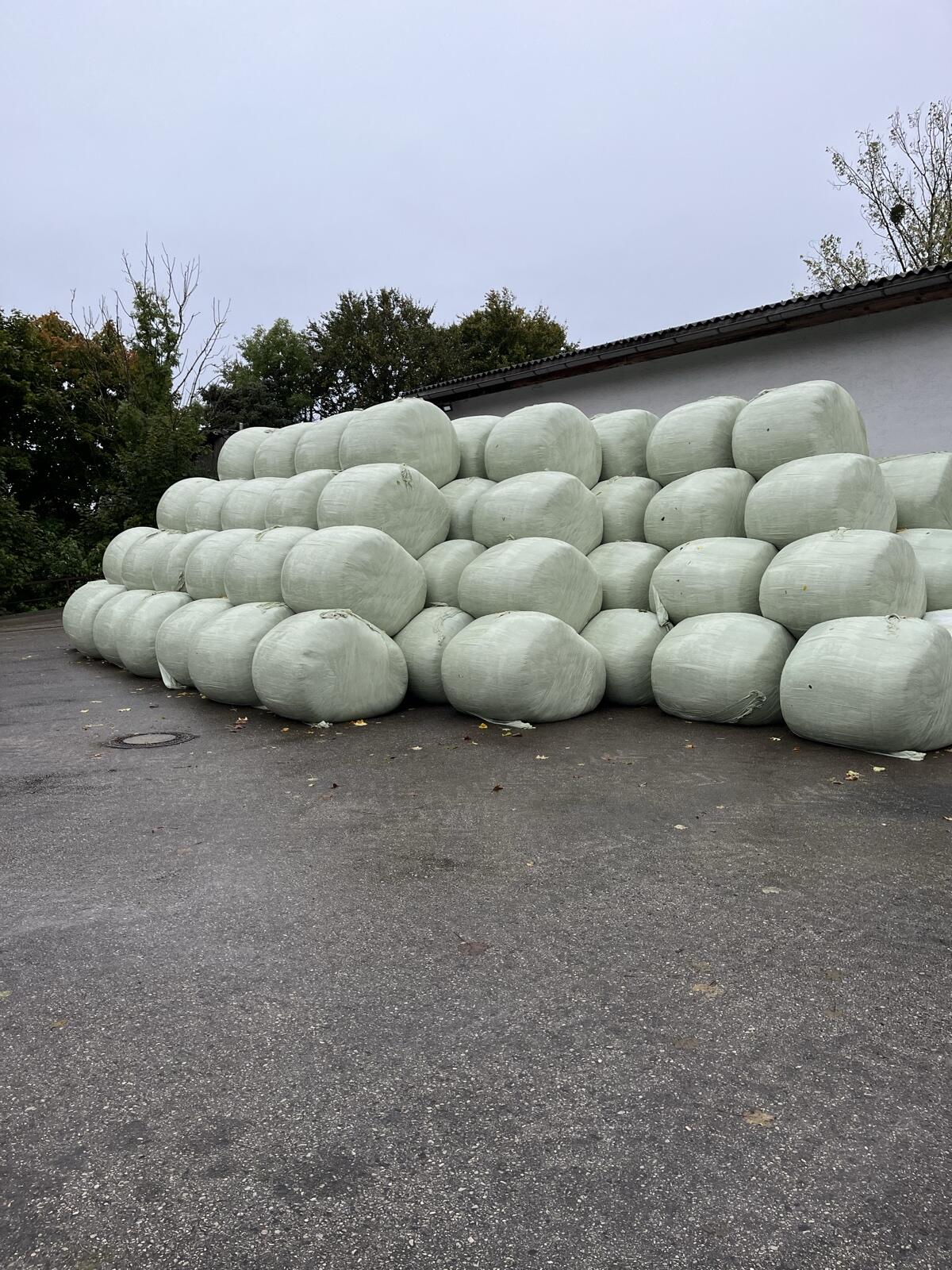 Maisballen Silomais 2