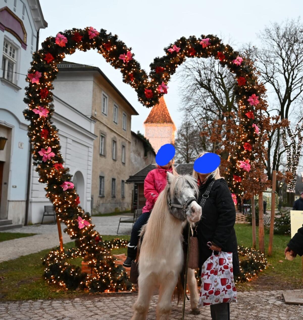 Toller Kinderpony Wallach 3