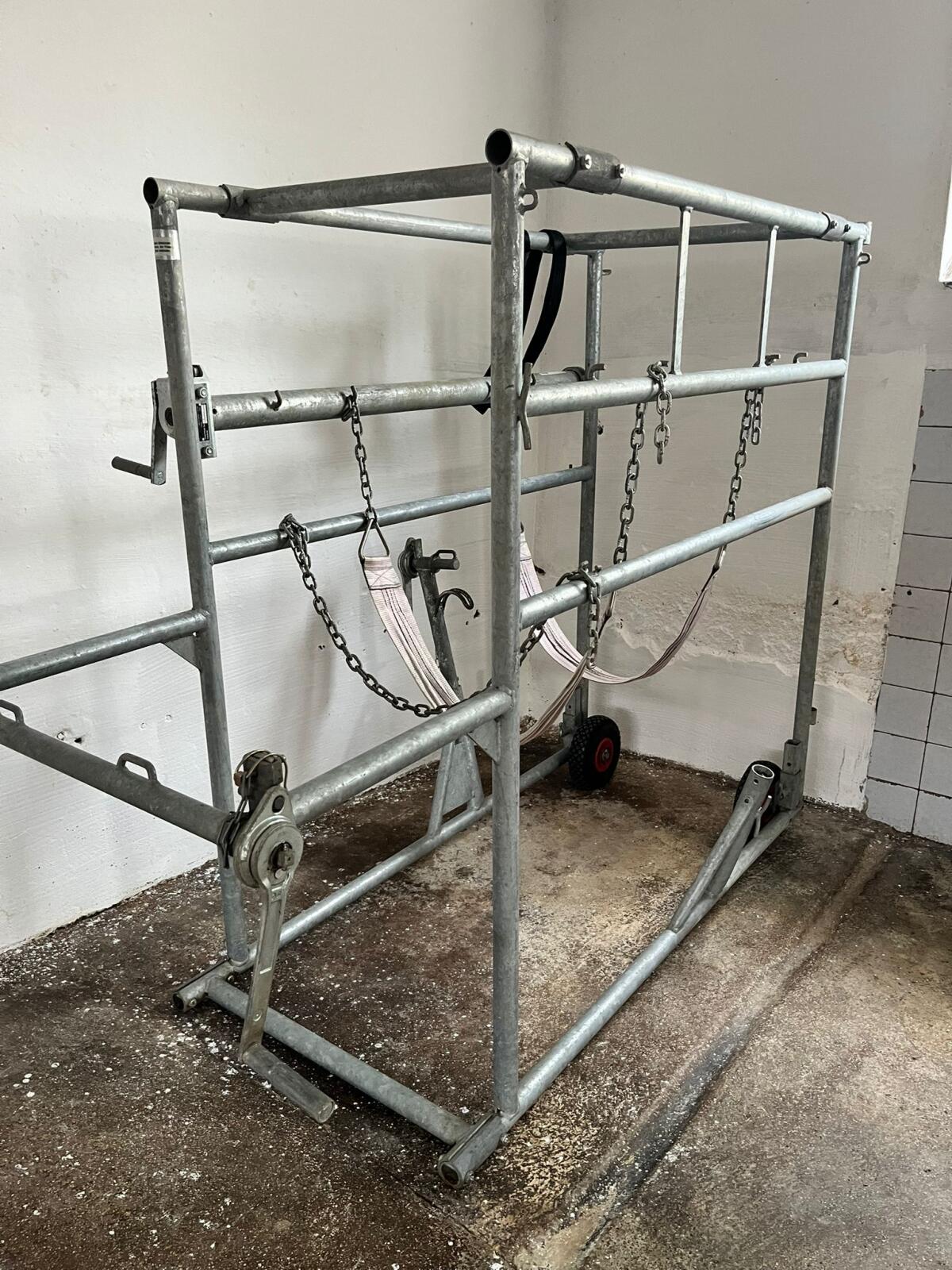 Klauenpflegestand 3