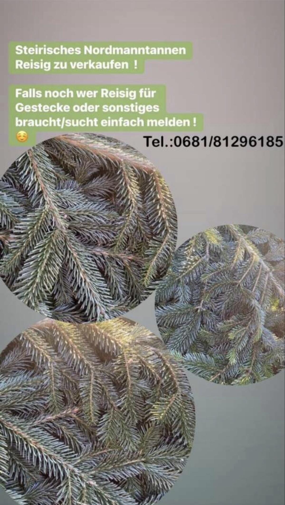 Adventgestecke sowie Adventkränze selbst gebastelt 2