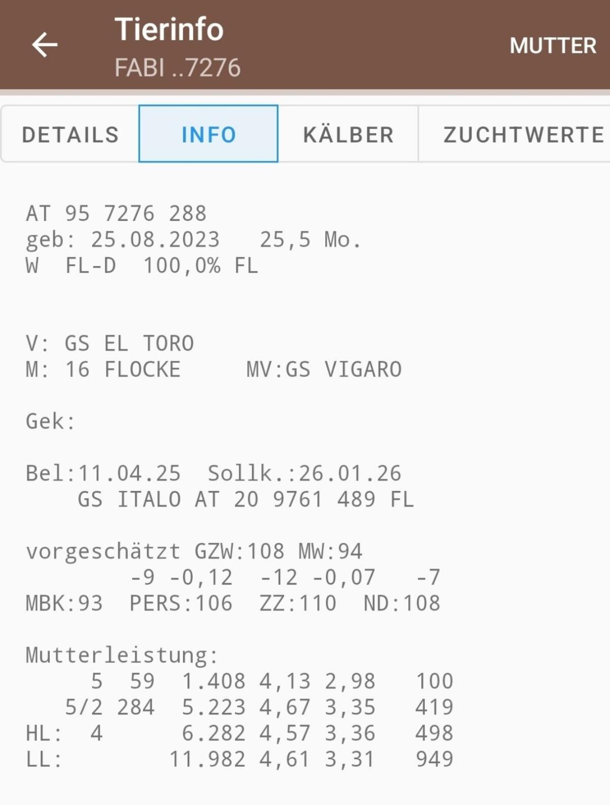 Verkaufe 2 trächtige Bio Kalbinnen 3
