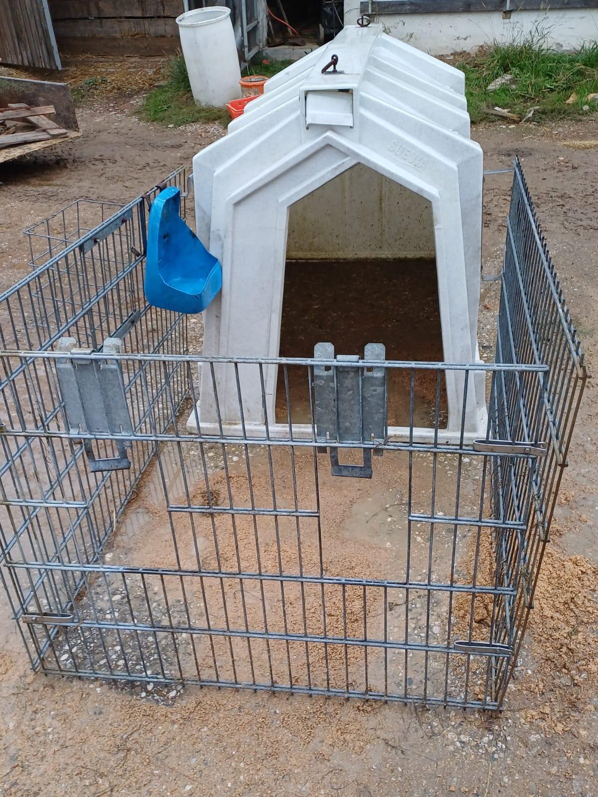 Kälberiglu 1