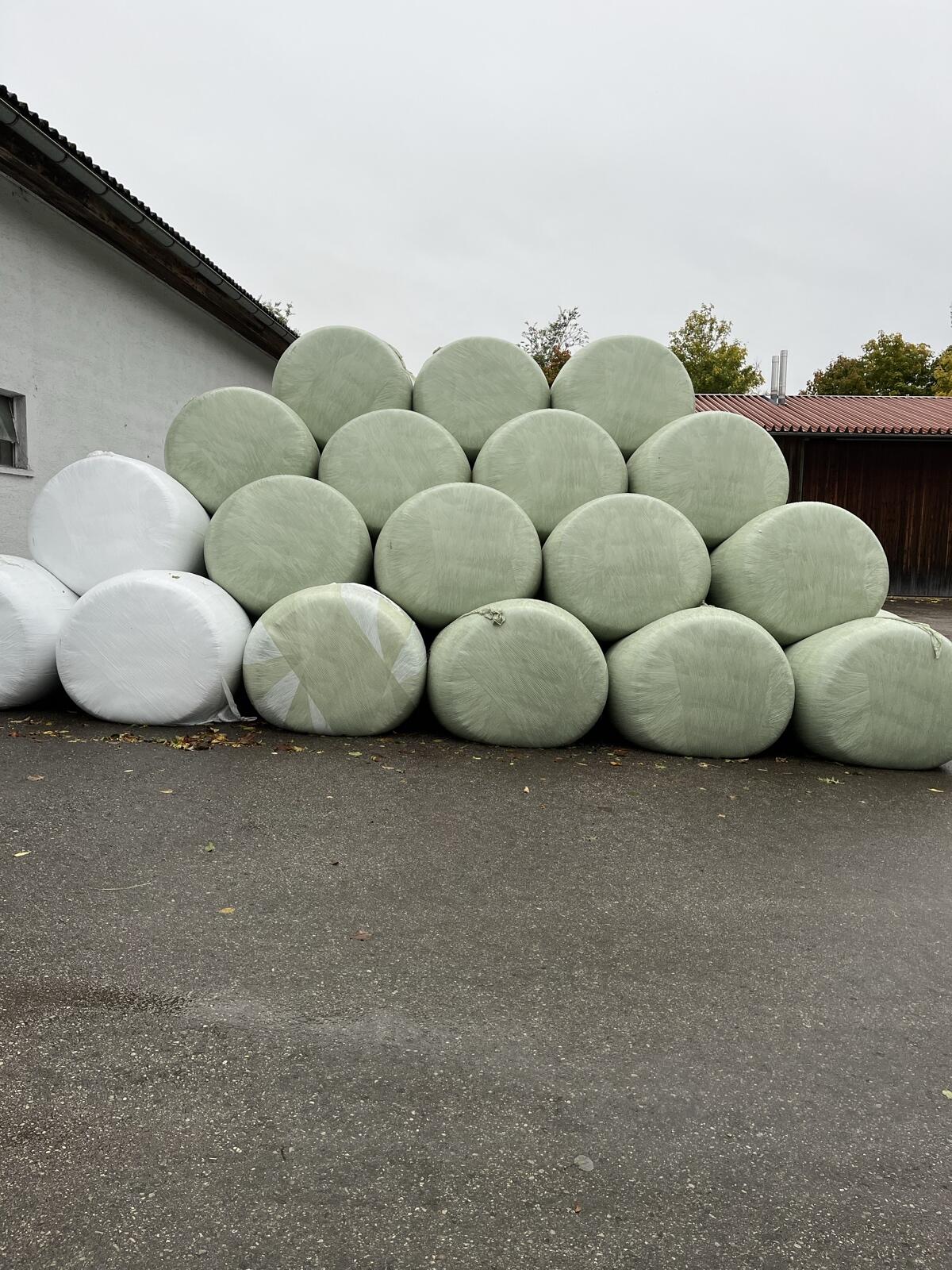Maisballen Silomais 1