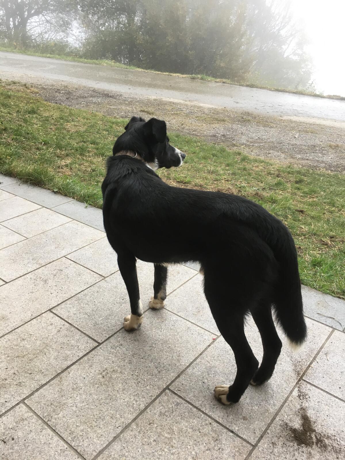 Suche gutes Platzerl 3