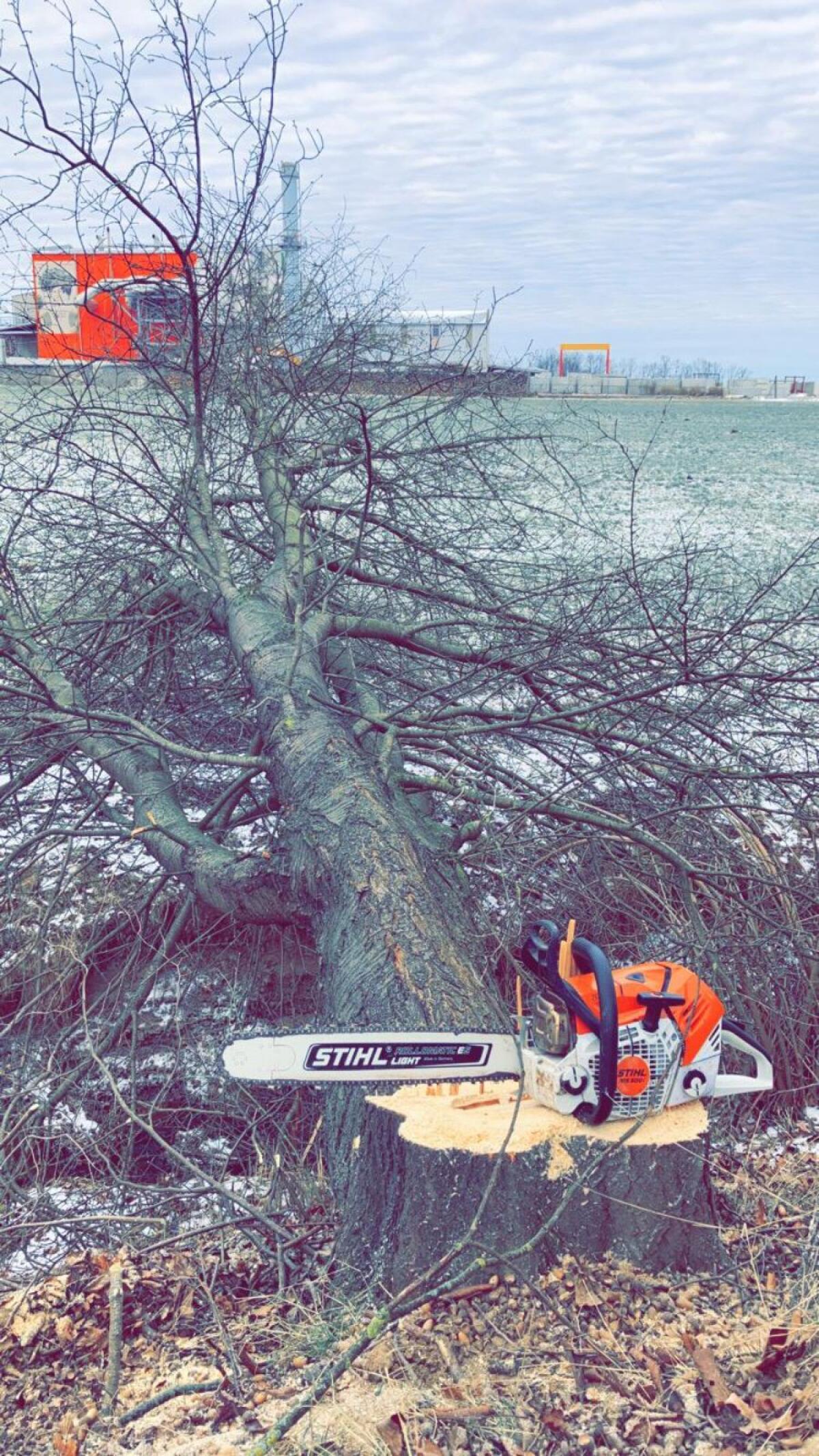 Holzschlägerung u. Rückung 2