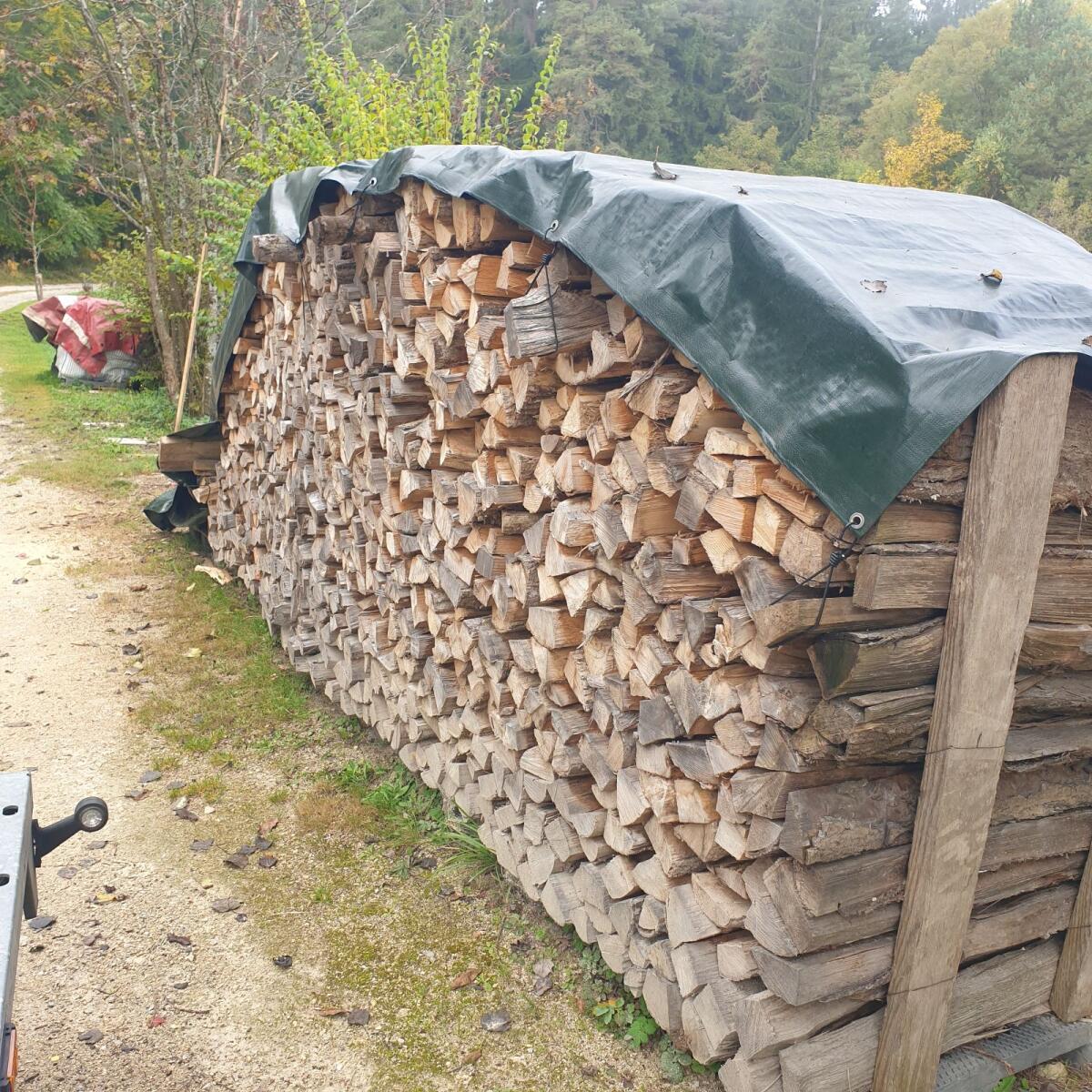 Brennholz Esche, bereits gespalten und 1 m geschnitten 2