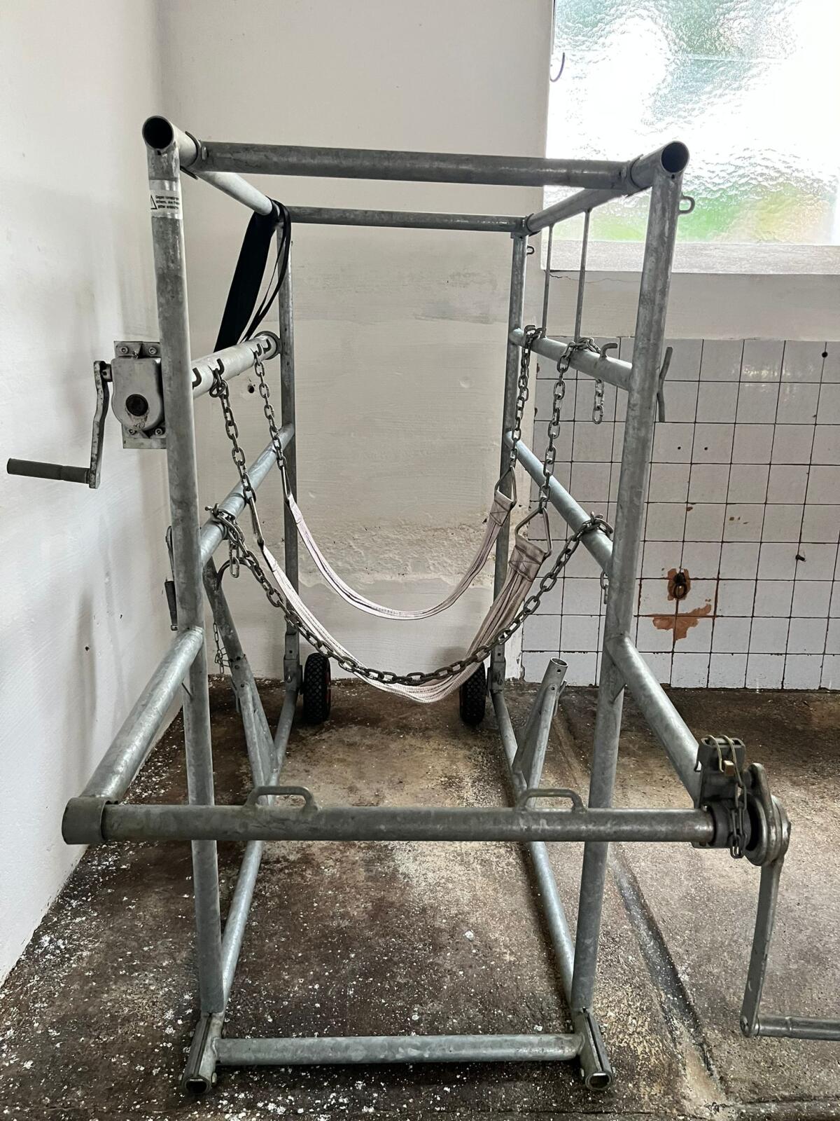 Klauenpflegestand 2
