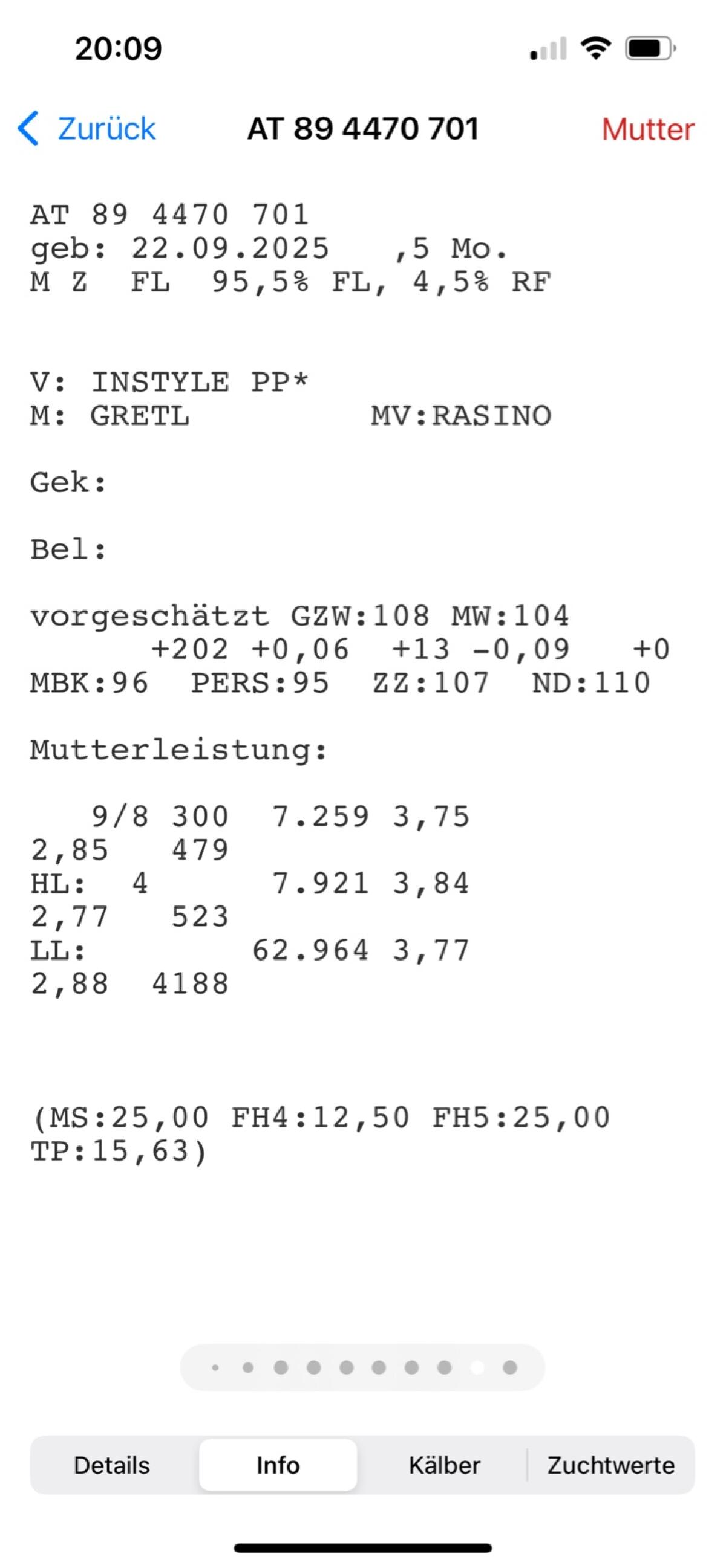 Fleckviehkälber Bio 3