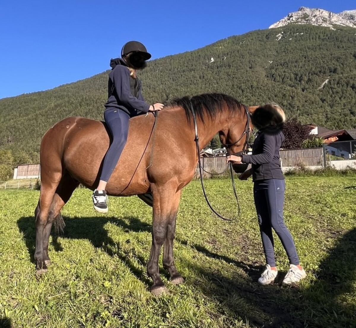 Appaloosa Mix Wallach 3