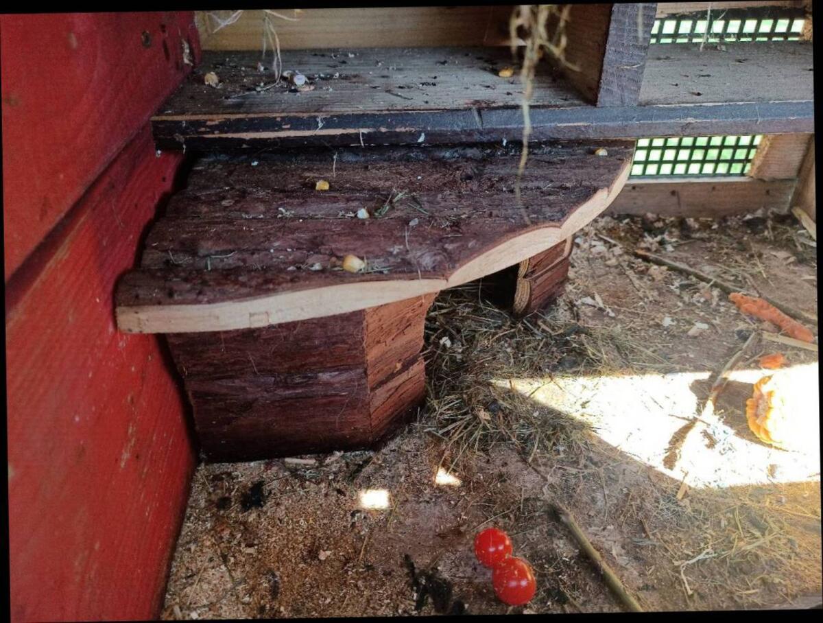 Meerschweinchenhaus, Futter 1