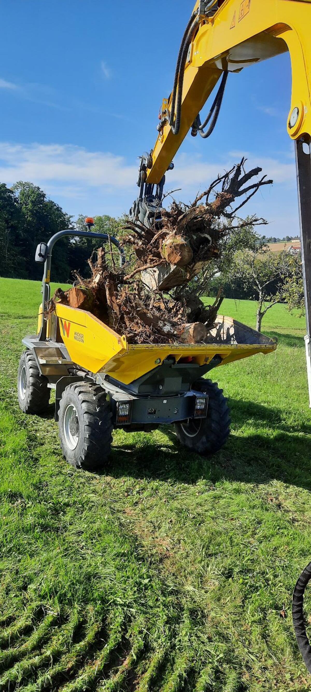 Neuson Dumper DW50 2