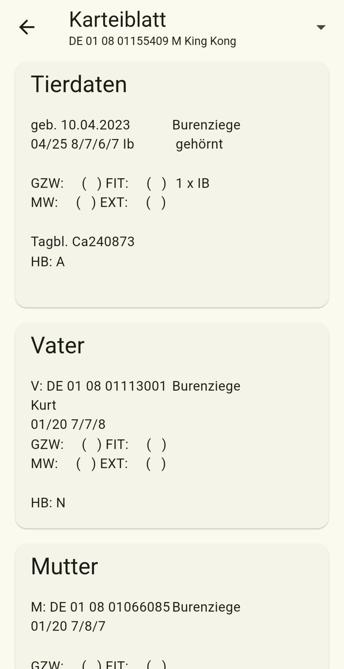 Burenziegen Bock 2