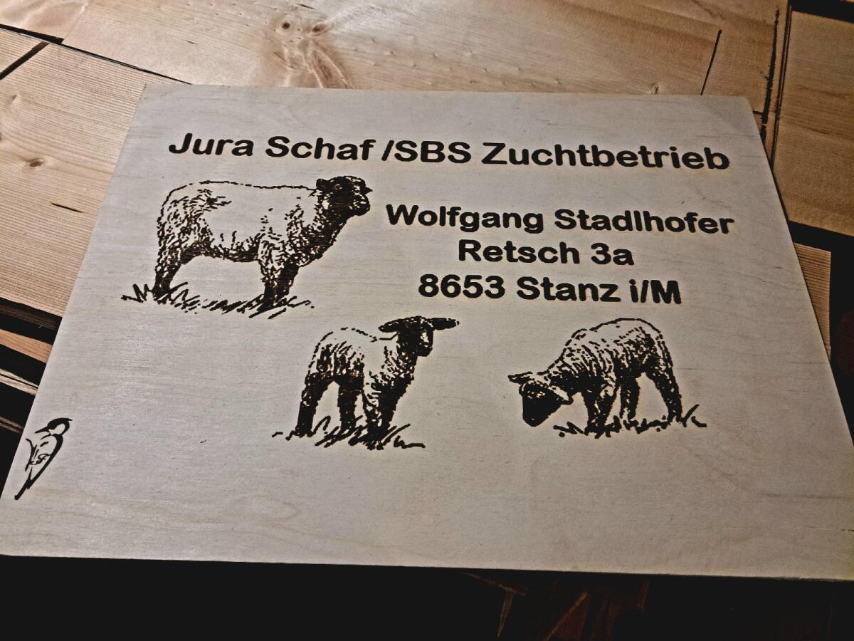 Verkaufe Jura-Widder 3