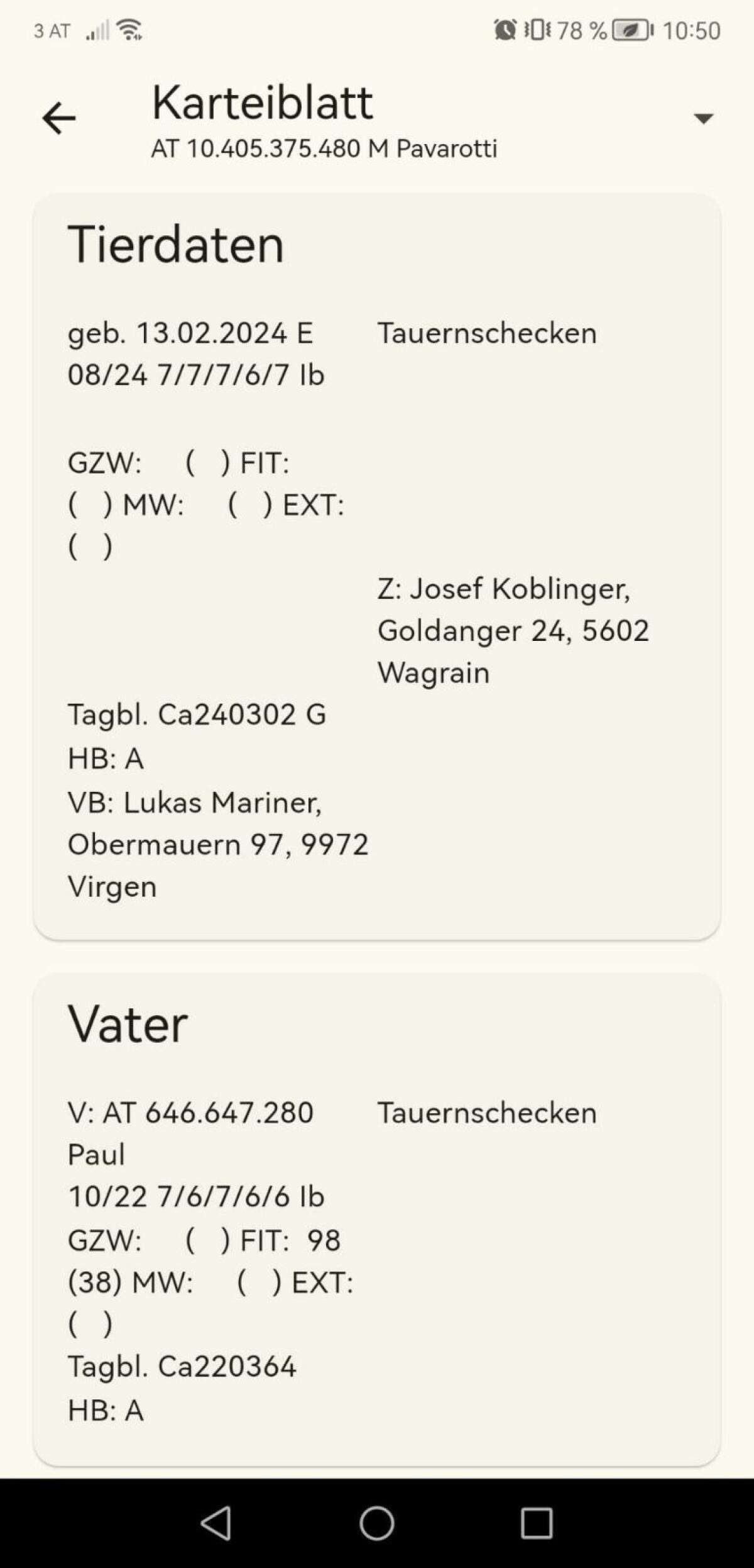 Tauernschecken Bock Pavarotti 3