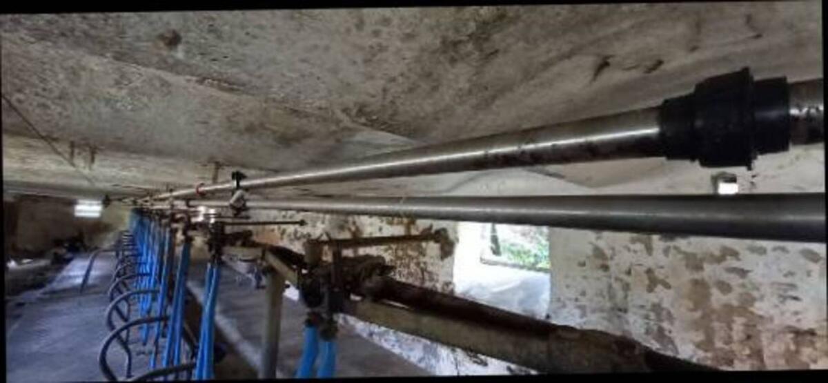 Melkmaschine, Rohrmelkanlage, Entmistung 3