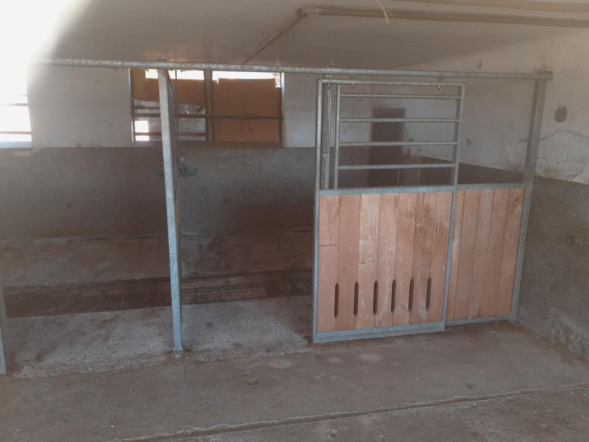 Pferdestall, Aufstallung, Pferdeboxen 1