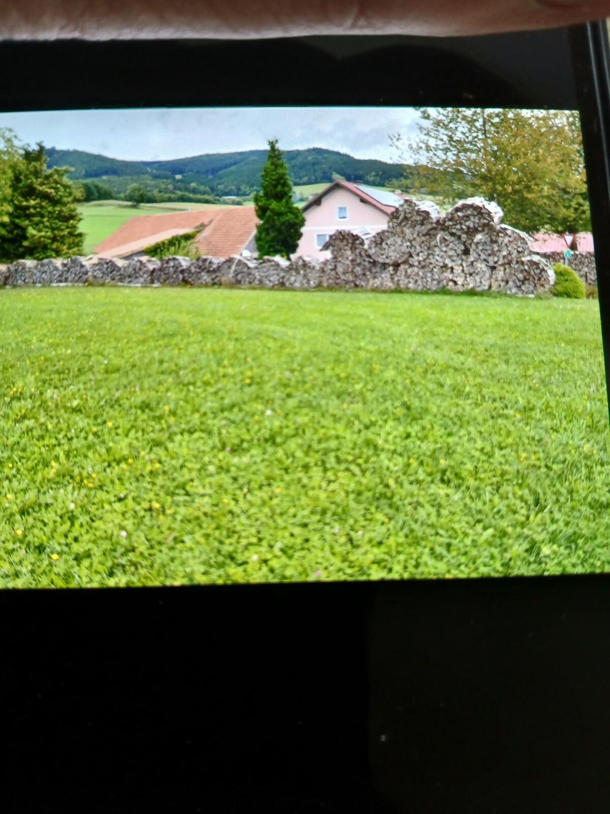 Buchen Brennholz 2