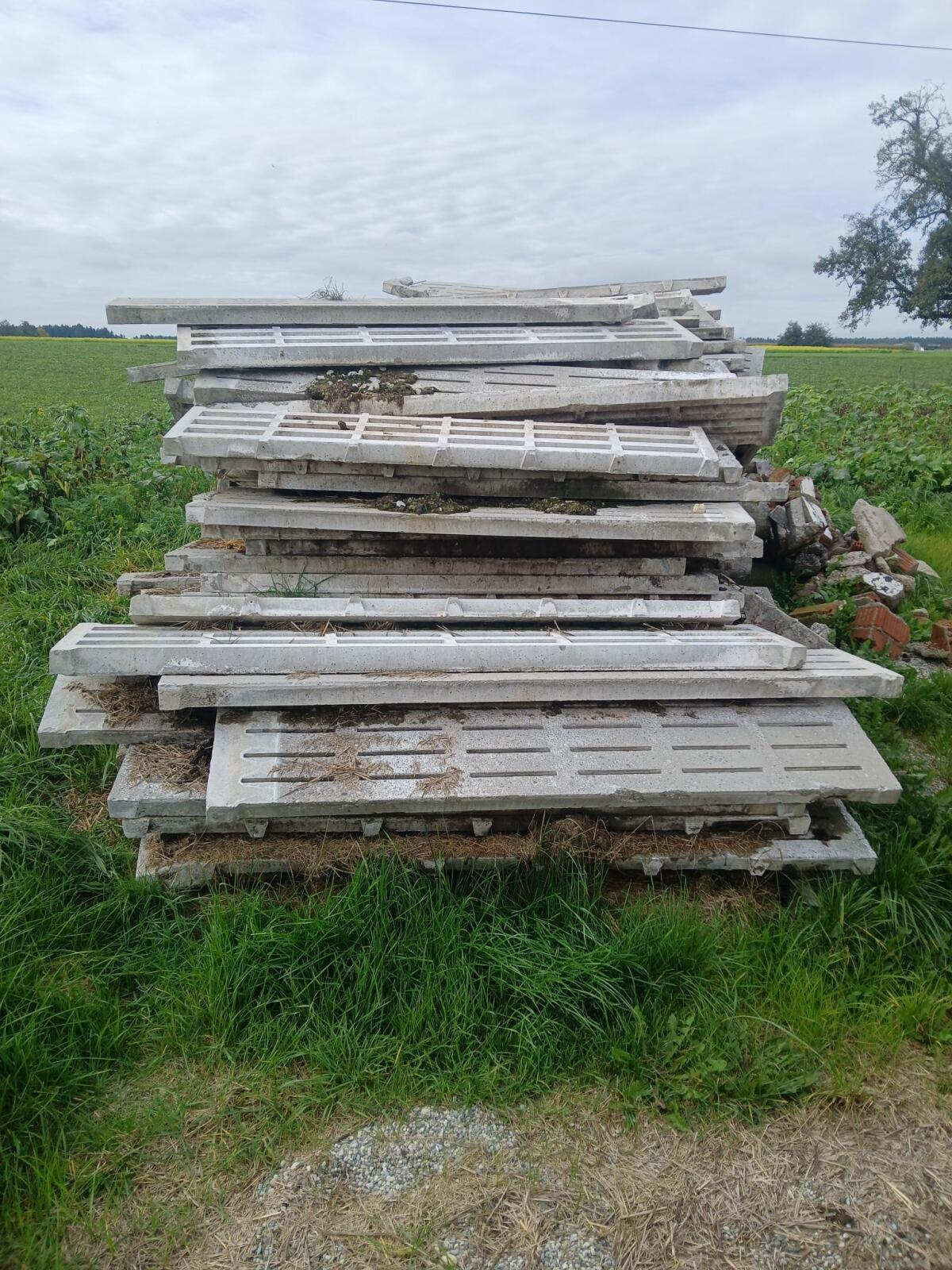 Aufstallung und Schweinespalten zu verschenken 3