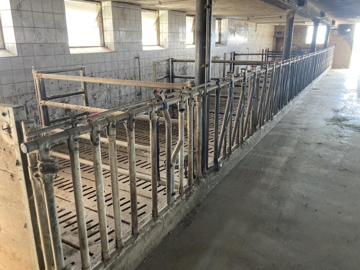 Rindermastaufstallung Wölfleder 2