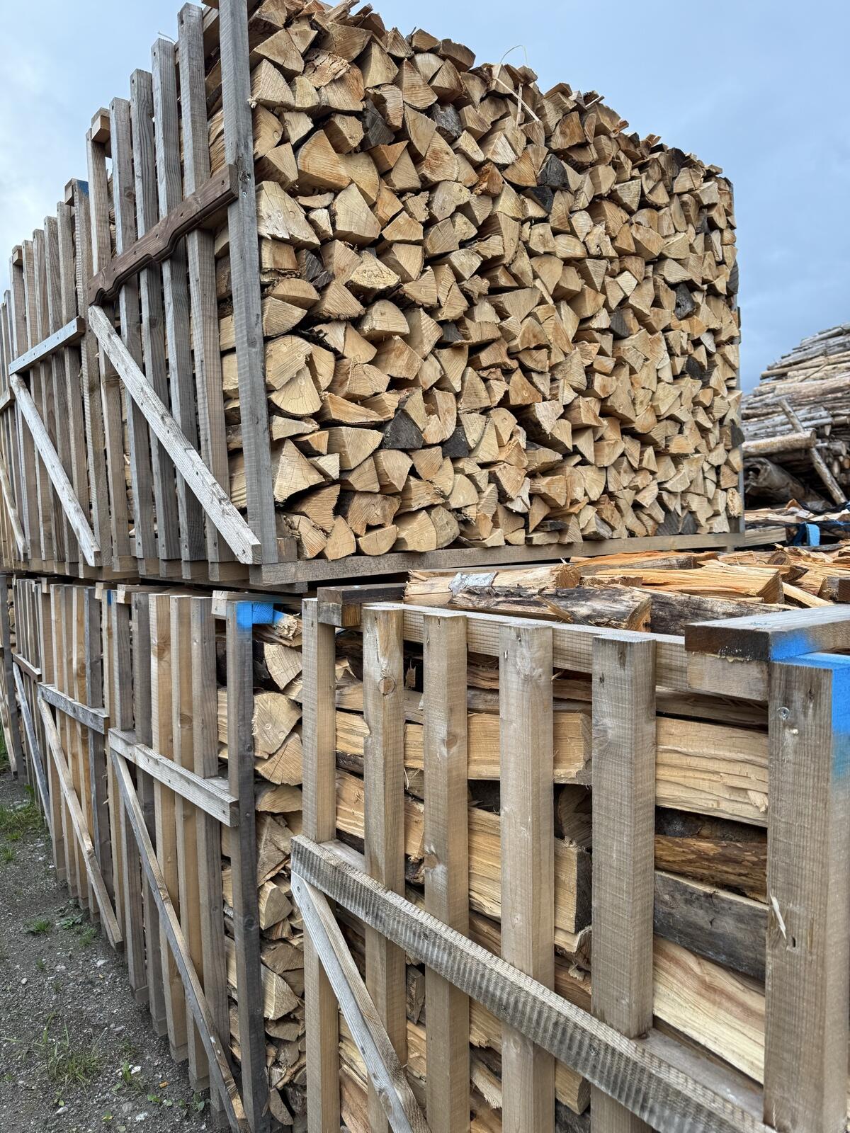 Brennholz reine Buche/Esche/Fichte 2
