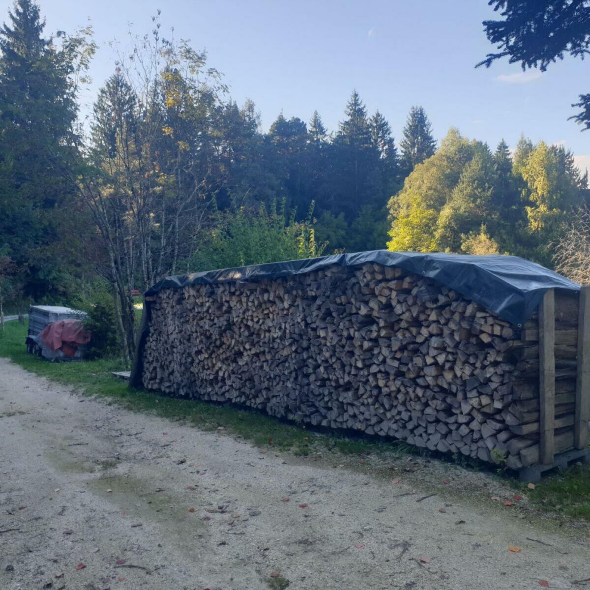 Brennholz Esche, bereits gespalten und 1 m geschnitten 1