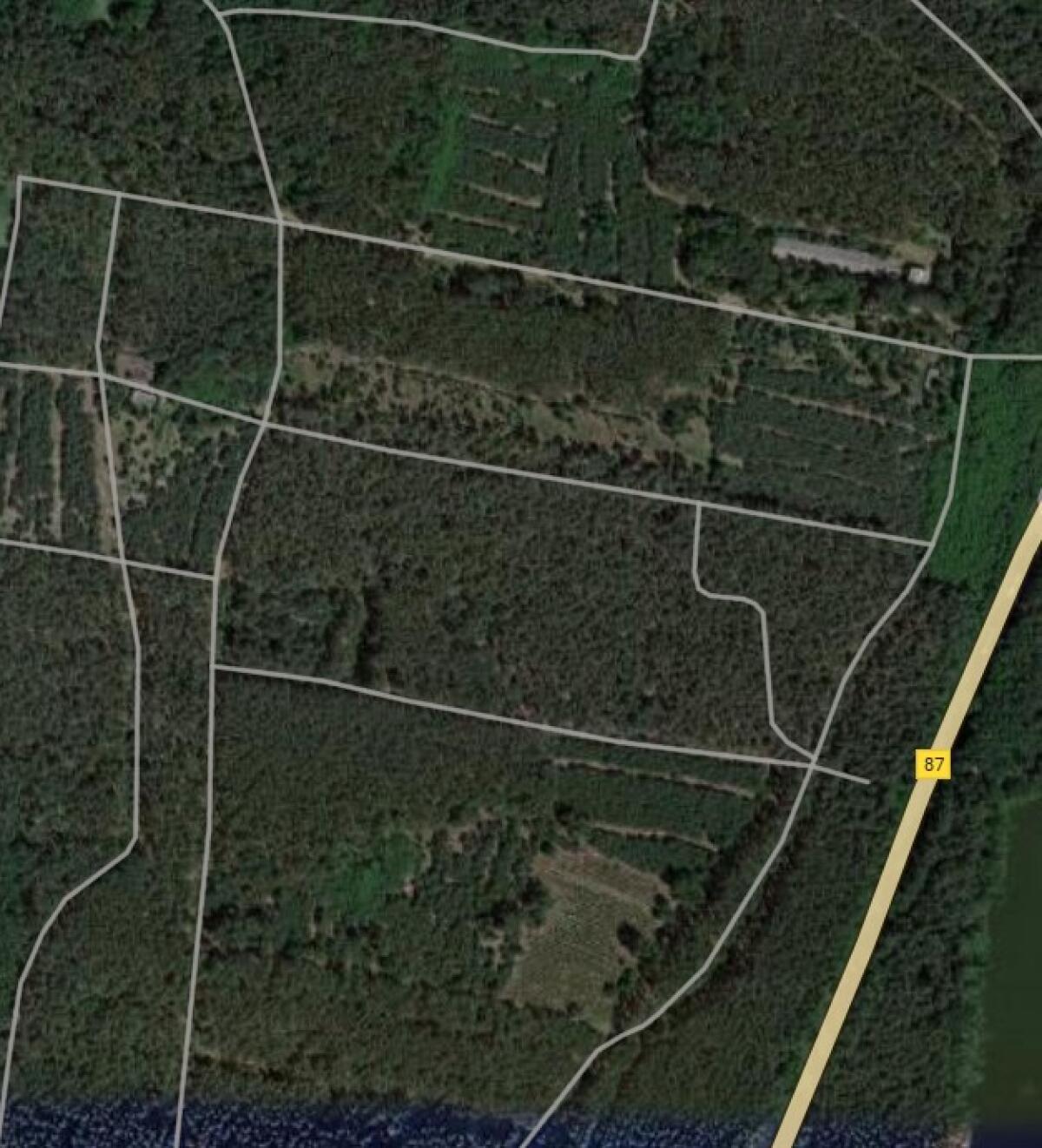 Waldgrundstück zu verkaufen, ca. 69 ha, Nadelwald, Brandenburg 2