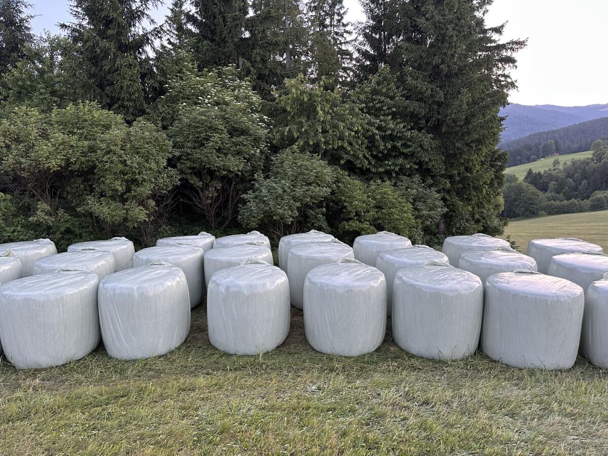 1. und 2. Schnitt Bio-Siloballen zu verkaufen 2