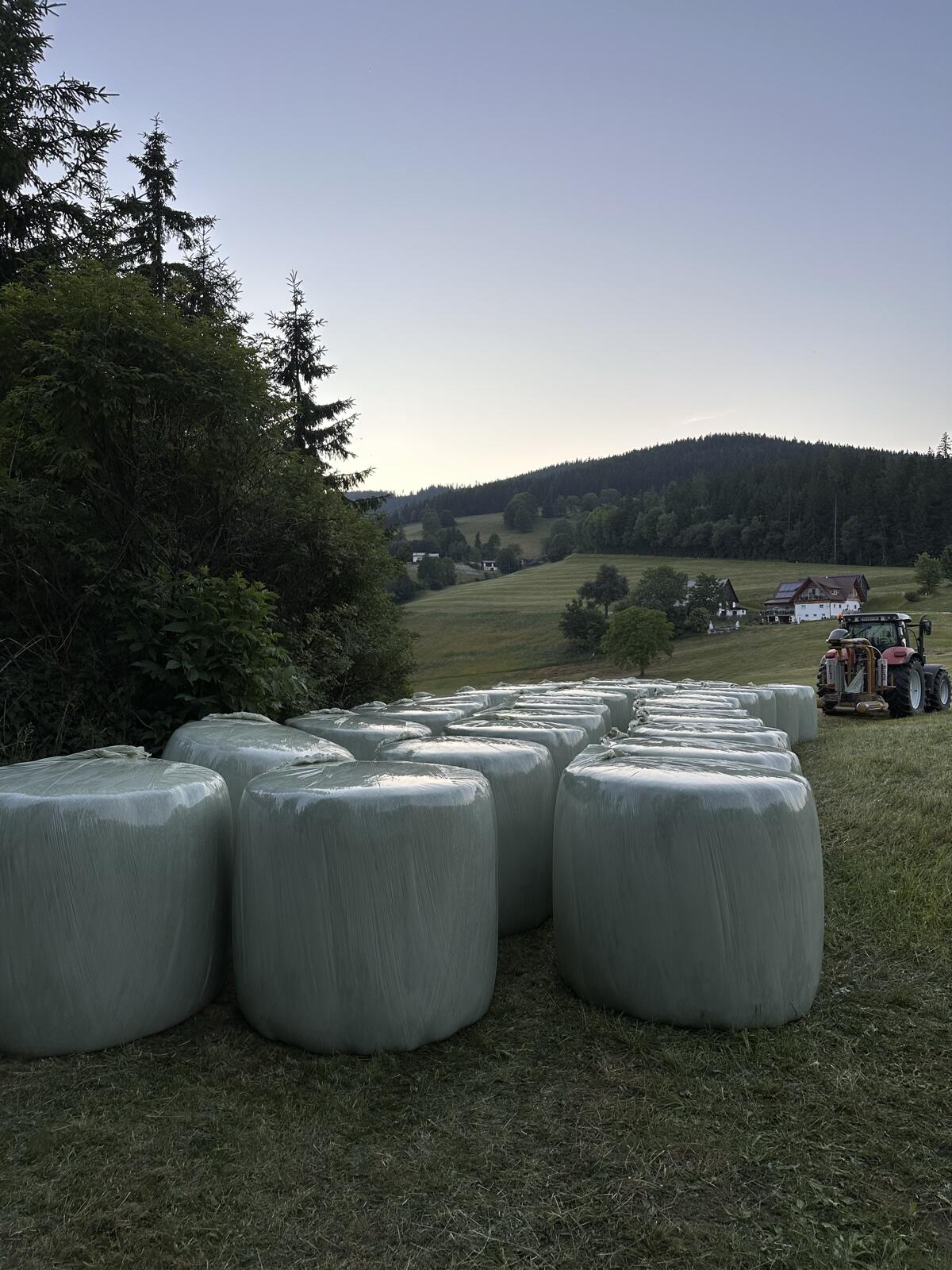 1. und 2. Schnitt Bio-Siloballen zu verkaufen 3