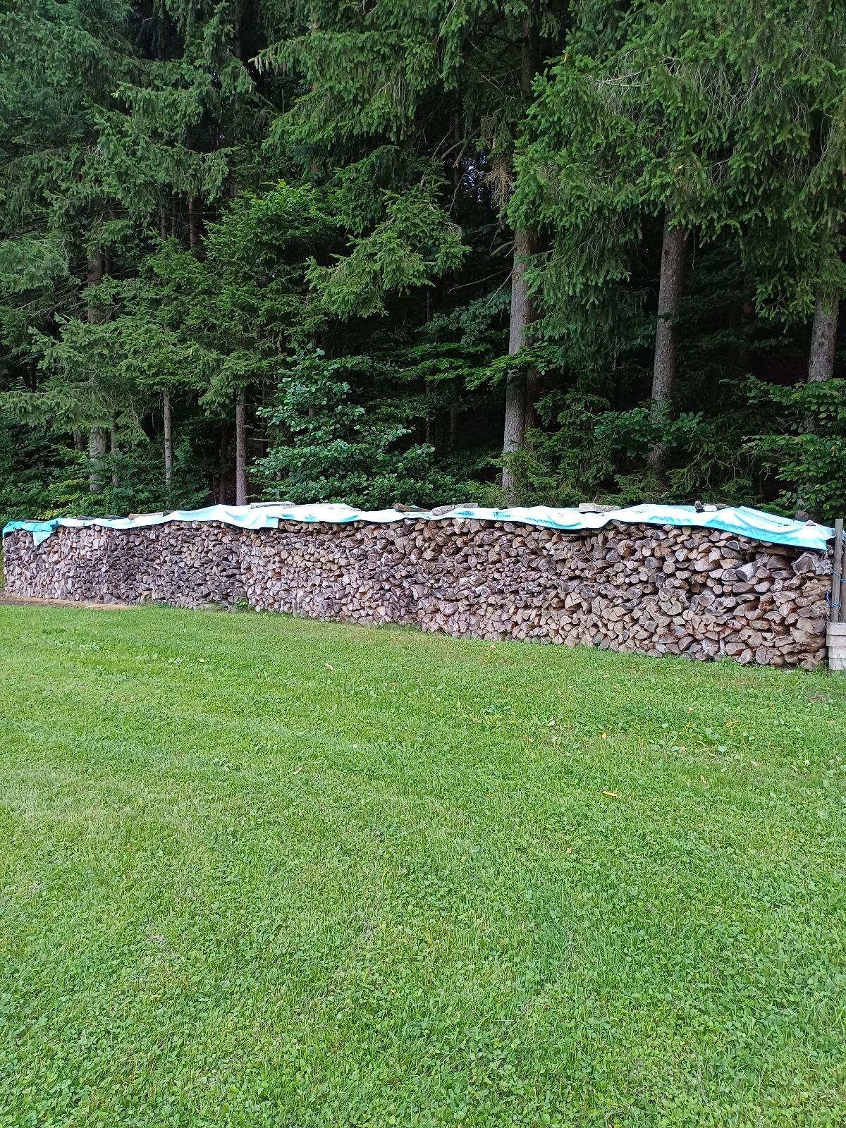 Brennholz 1
