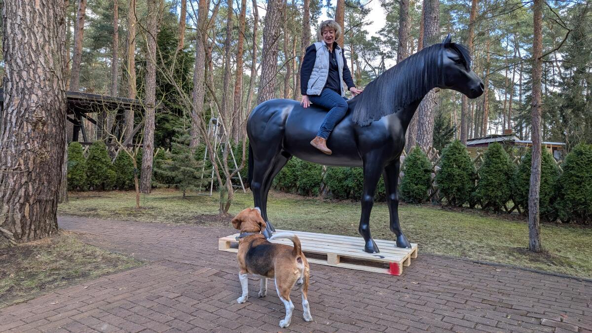 Pferd lebensgroß in 3D zum Aufsitzen bis 100 kg belastbar 2