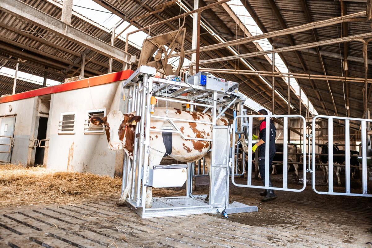 CowCare DAIRY Klauenpflegestand 3